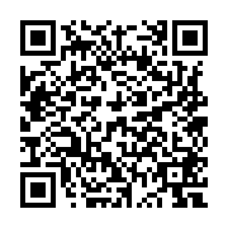 QR code for plate NWS-9485