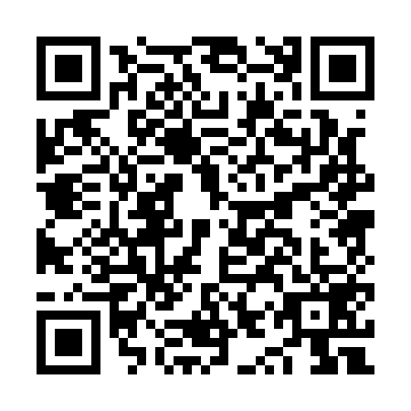 QR code for plate NYP-1597