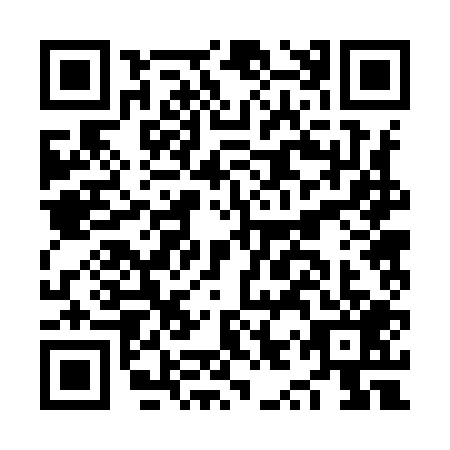 QR code for NYR-9095