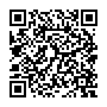 QR code for NYY-2463