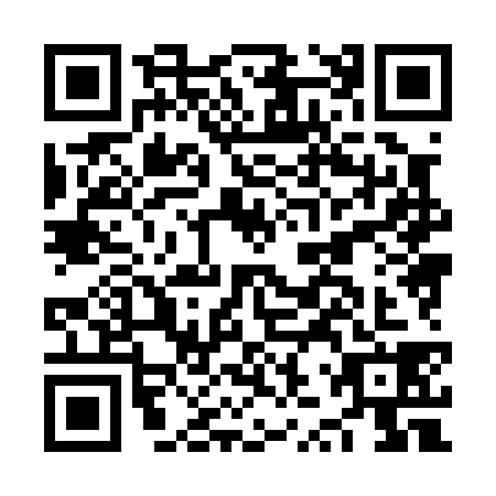 QR code for NZX-0384