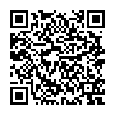 QR code for plate OEI-0133