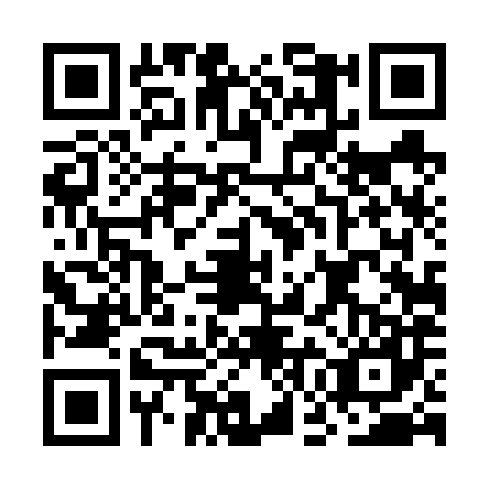 QR code for plate OGD-6875