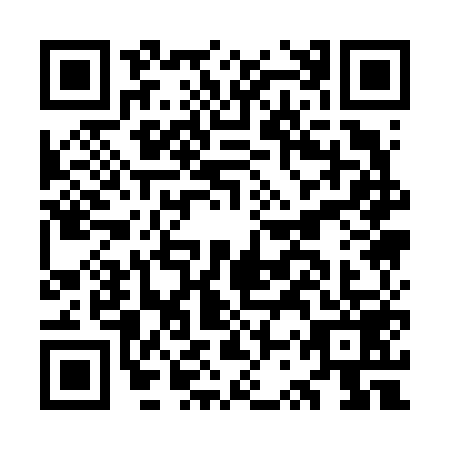 QR code for OSQ6593