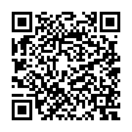 QR code for OWO0411