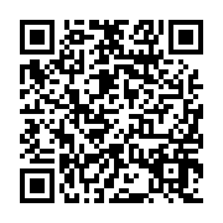 QR code for plate PAV-0160