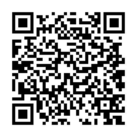 QR code for plate PBV-0338
