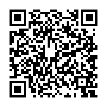 QR code for PDT3029
