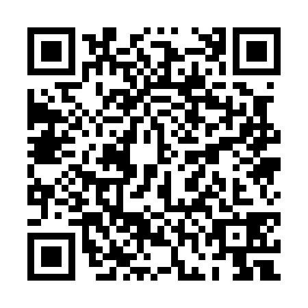 QR code for PGA0384
