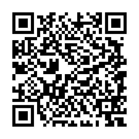 QR code for PHD4993