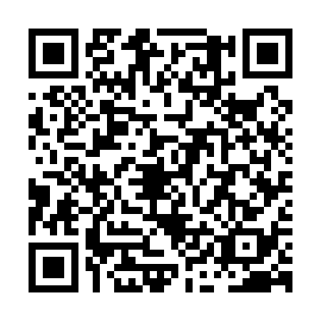 QR code for plate PIG-1385