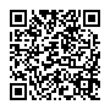 QR code for PIN-2504
