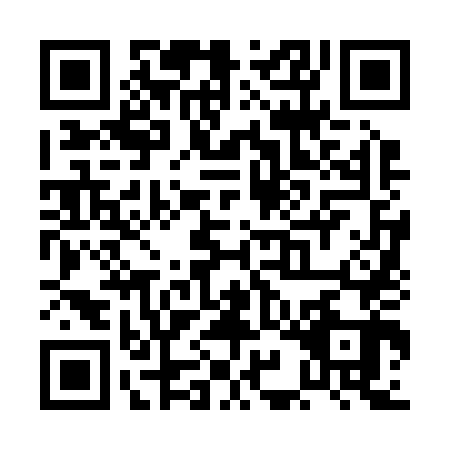 QR code for PIN2438