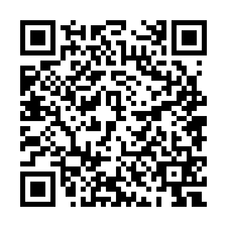 QR code for PIN3616