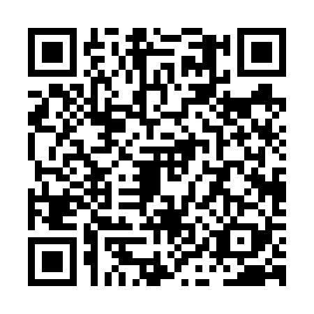 QR code for PIP-6295