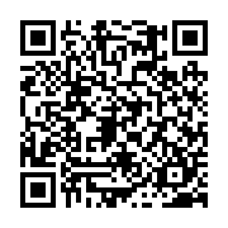 QR code for PIU2048