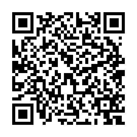 QR code for PJP2163