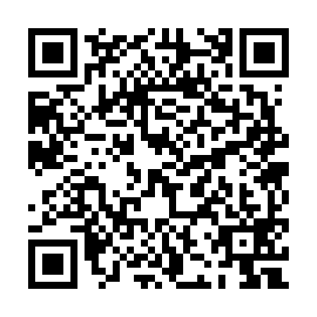QR code for plate PJS-6991