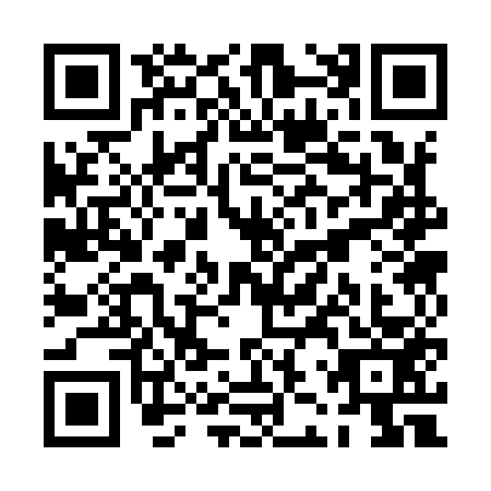 QR code for PJS9533