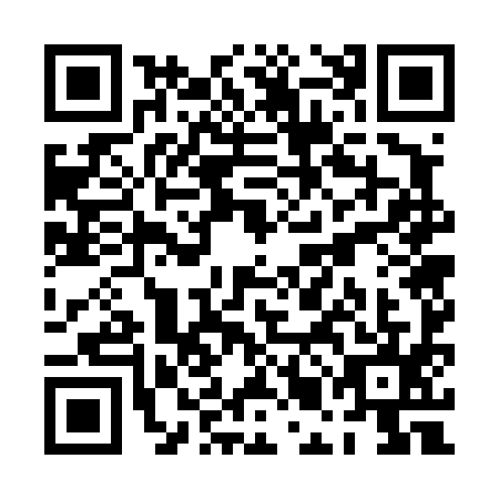 QR code for PMG-4950