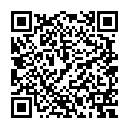 QR code for PMS-4904