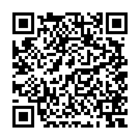 QR code for PNG-4493