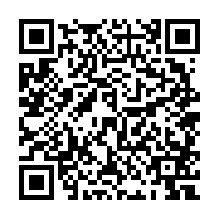 QR code for plate PNO-6833