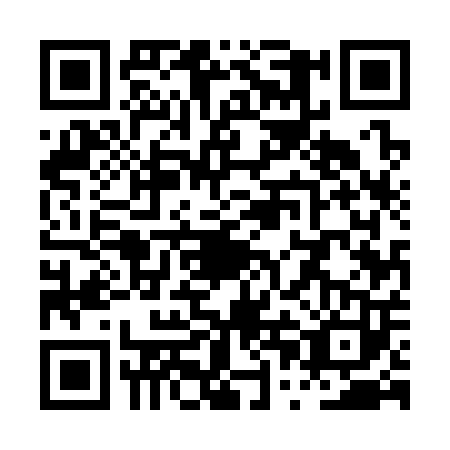 QR code for PPE-3036