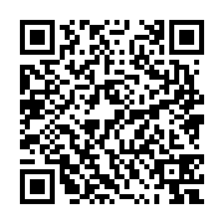 QR code for PPH6385