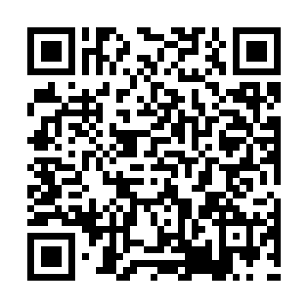 QR code for plate PPL-3204