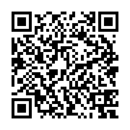 QR code for PPM-2383