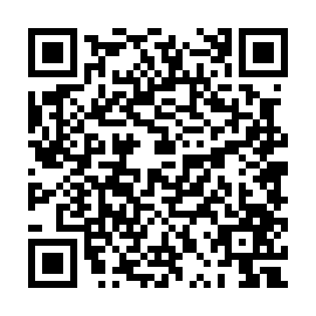 QR code for PPT-0471