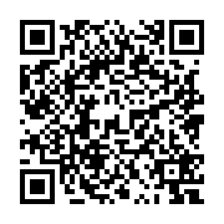 QR code for PPX1294