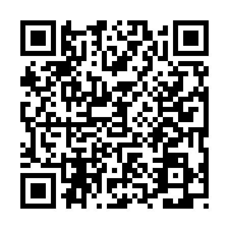 QR code for PQI9384