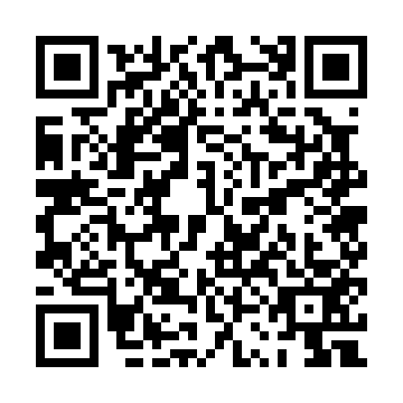QR code for plate PSG-0536