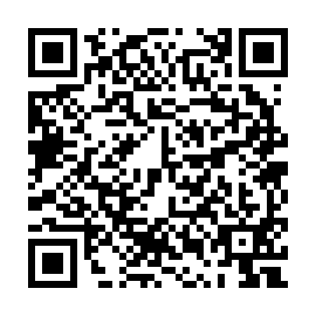 QR code for plate PUC-2913