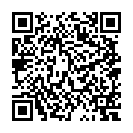 QR code for PVA-4919