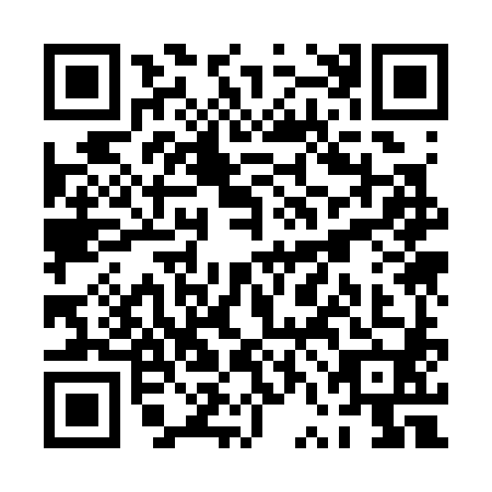 QR code for plate PVK-3808