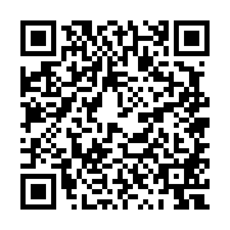 QR code for PYE-4880