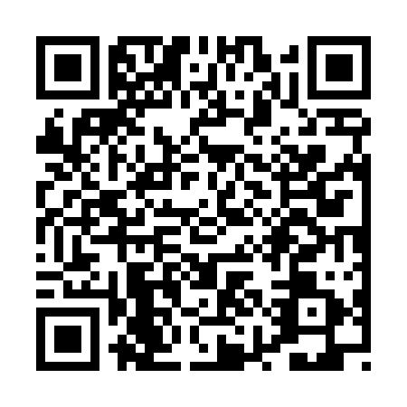 QR code for PYG-4111