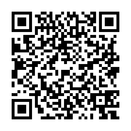 QR code for plate PYI-9384
