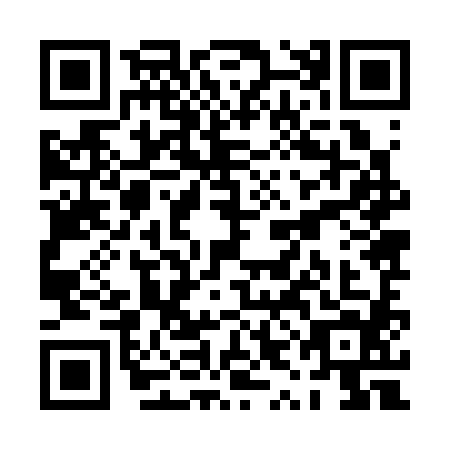QR code for plate PYJ-3843