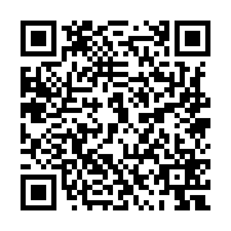 QR code for plate PYQ-9695
