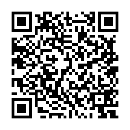 QR code for PYS-8596