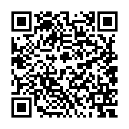 QR code for plate PYV-9652