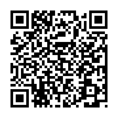 QR code for plate PYW-5038
