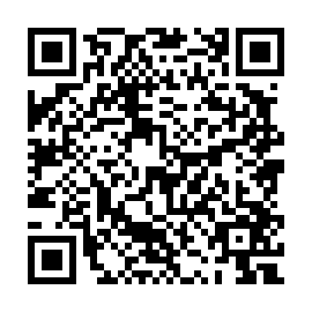 QR code for plate PZH-4466