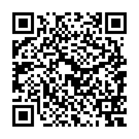 QR code for PZN-6991