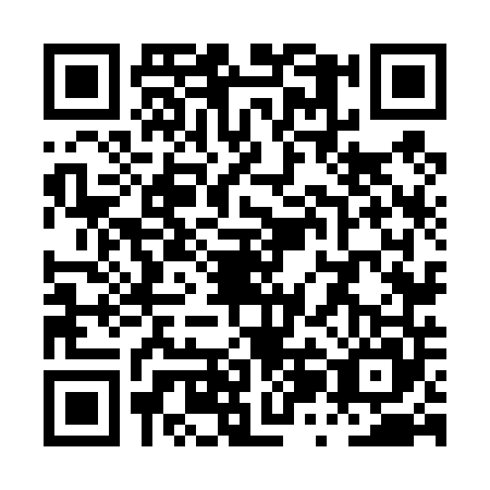 QR code for plate PZN-4453