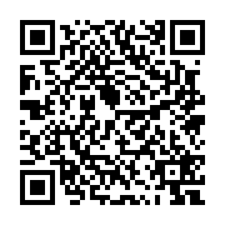 QR code for PZQ0295